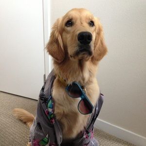 Meet your Posher, Andrea